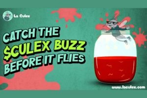 Zero-Knowledge Proofs: Securing AI's Future with Unprecedented Privacy